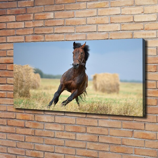 Foto op canvas Een galopperend paard