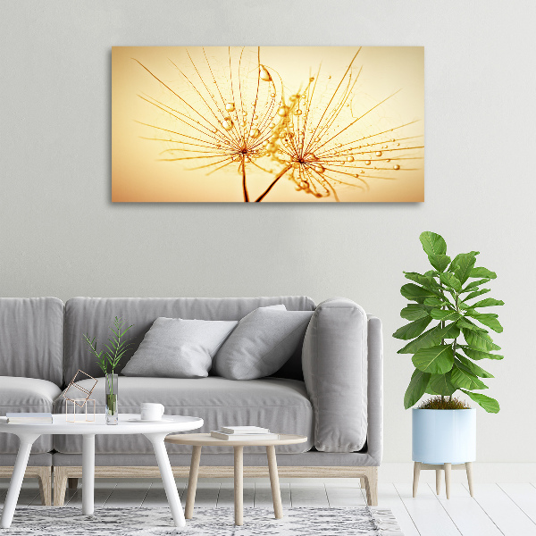 Foto op canvas Paardenbloemzaden