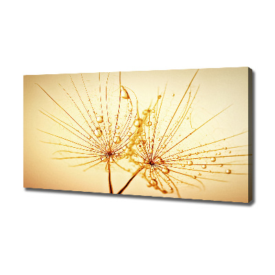 Foto op canvas Paardenbloemzaden