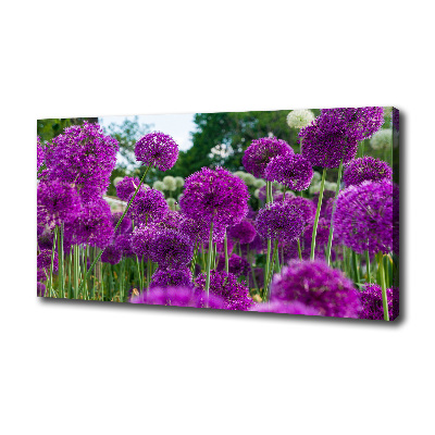 Canvas schilderij Knoflookbloemen