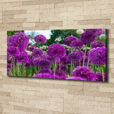 Canvas schilderij Knoflookbloemen