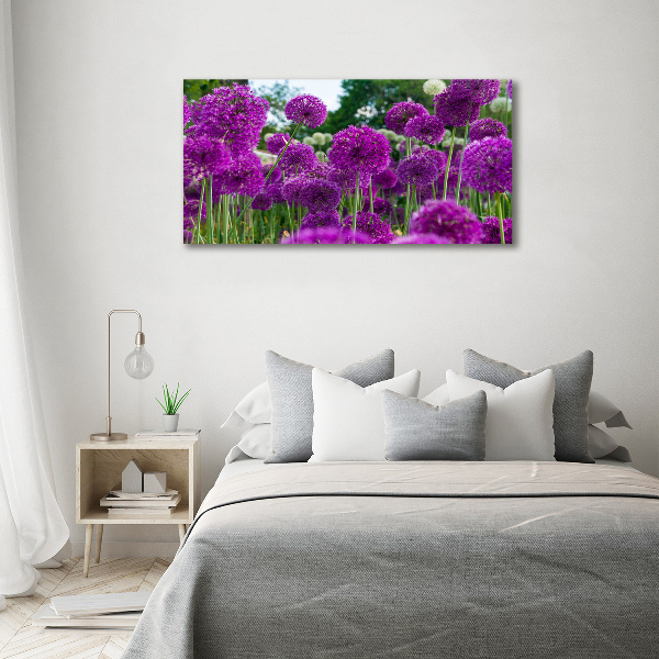 Canvas schilderij Knoflookbloemen