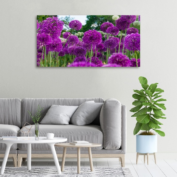 Canvas schilderij Knoflookbloemen