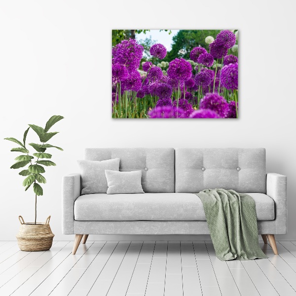Canvas schilderij Knoflookbloemen