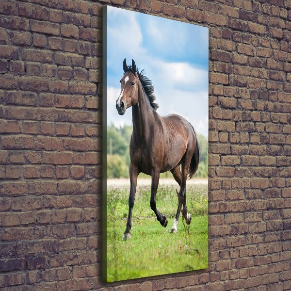 Verticale foto op canvas Een paard in een veld