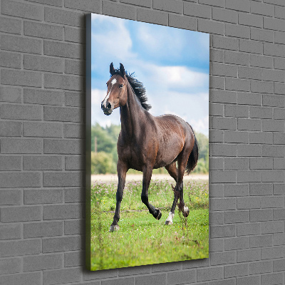 Verticale foto op canvas Een paard in een veld