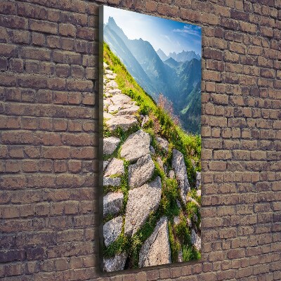 Verticale foto op canvas Bergpad