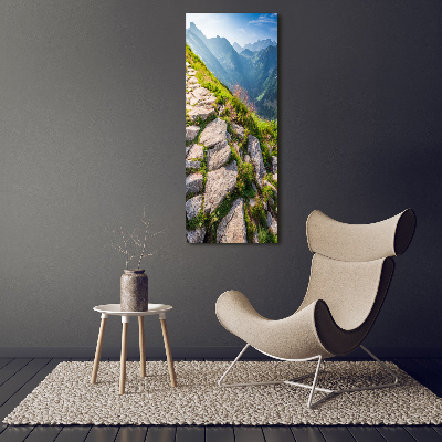 Verticale foto op canvas Bergpad