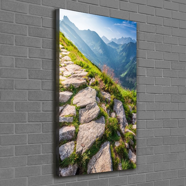 Verticale foto op canvas Bergpad