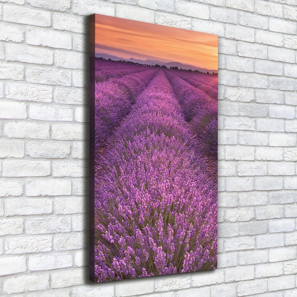 Verticaal schilderij op canvas Lavendelveld