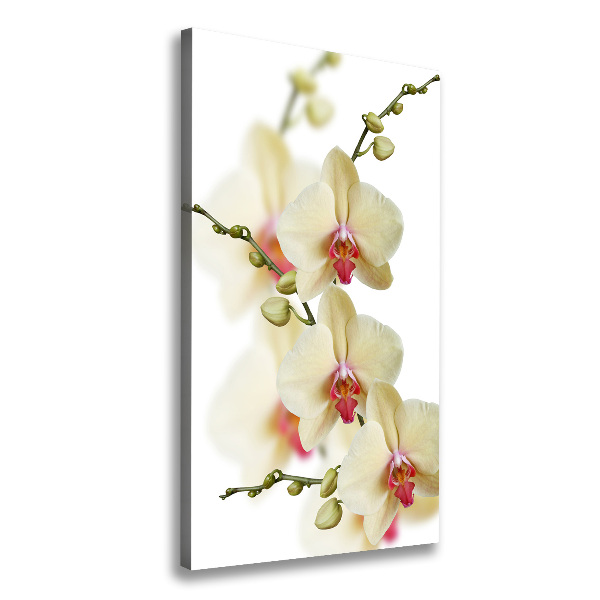 Verticaal schilderij op canvas Orchidee