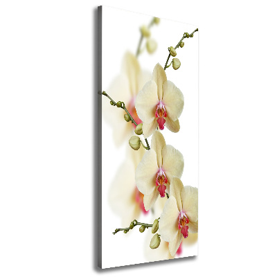 Verticaal schilderij op canvas Orchidee