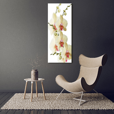 Verticaal schilderij op canvas Orchidee