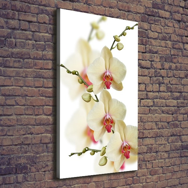 Verticaal schilderij op canvas Orchidee