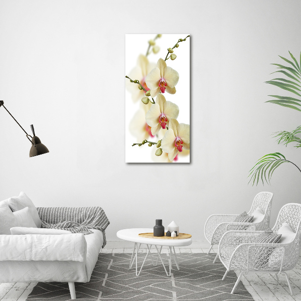 Verticaal schilderij op canvas Orchidee