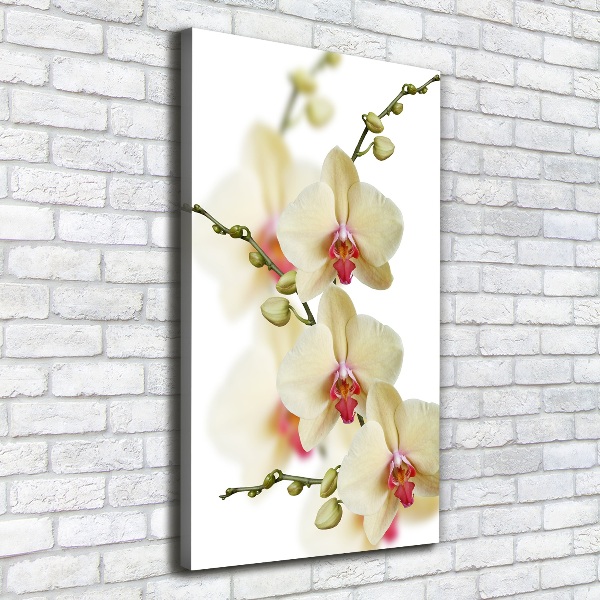 Verticaal schilderij op canvas Orchidee