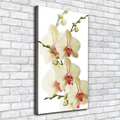 Verticaal schilderij op canvas Orchidee