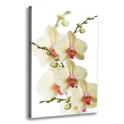 Verticaal schilderij op canvas Orchidee