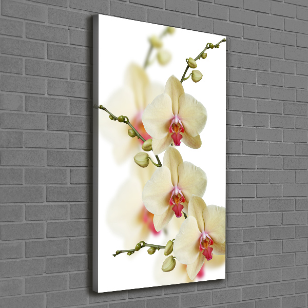 Verticaal schilderij op canvas Orchidee