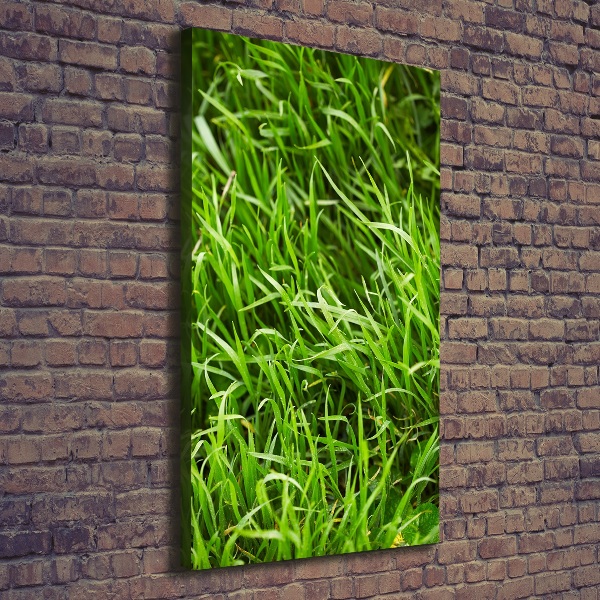 Verticale foto op canvas Gras