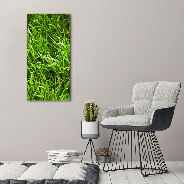 Verticale foto op canvas Gras