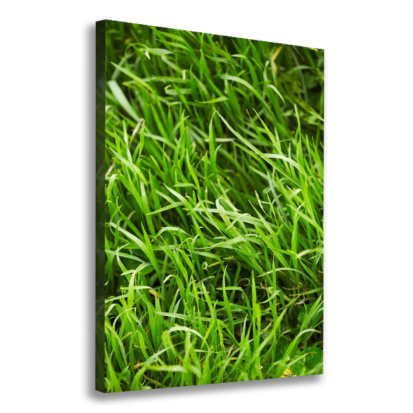 Verticale foto op canvas Gras