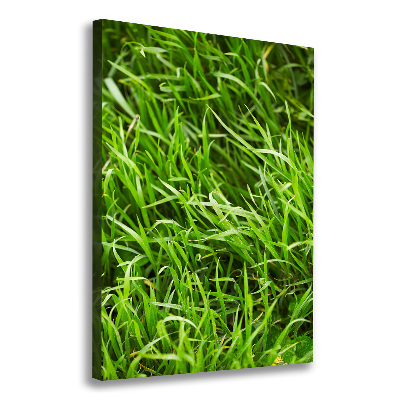 Verticale foto op canvas Gras
