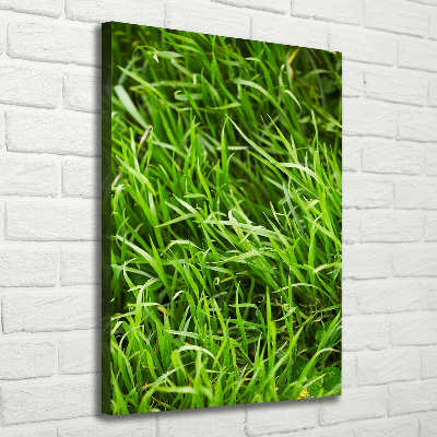 Verticale foto op canvas Gras