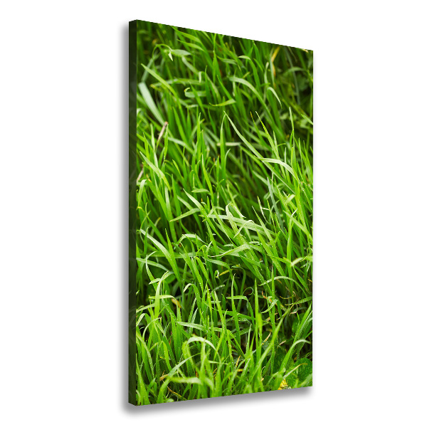 Verticale foto op canvas Gras