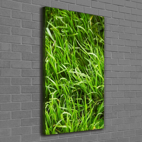 Verticale foto op canvas Gras