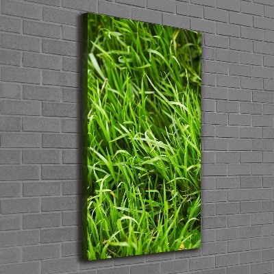 Verticale foto op canvas Gras
