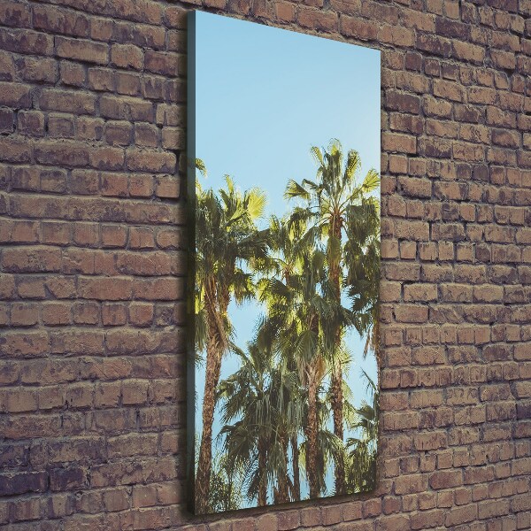 Verticale foto op canvas Palmbomen