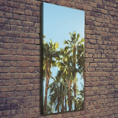 Verticale foto op canvas Palmbomen
