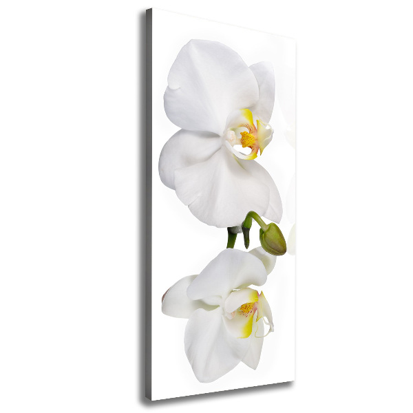Verticaal canvasschilderij Witte orchidee