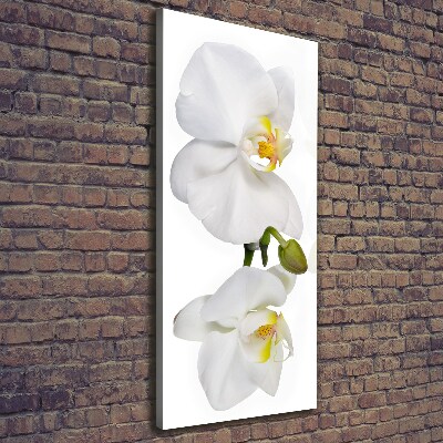 Verticaal canvasschilderij Witte orchidee