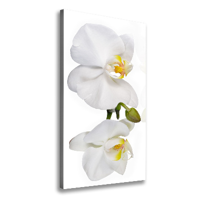 Verticaal canvasschilderij Witte orchidee