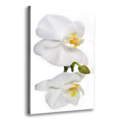 Verticaal canvasschilderij Witte orchidee