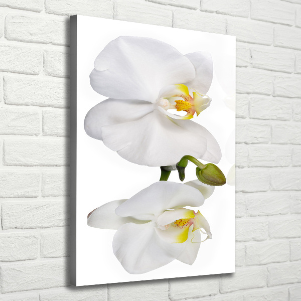 Verticaal canvasschilderij Witte orchidee