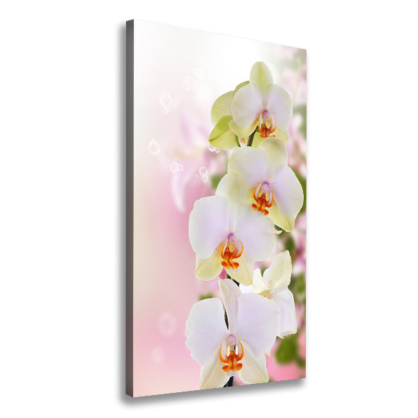 Verticaal schilderij op canvas Witte orchidee