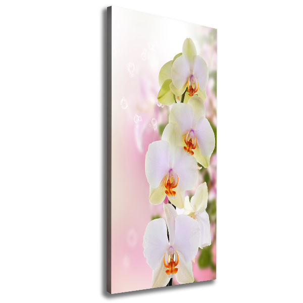 Verticaal schilderij op canvas Witte orchidee