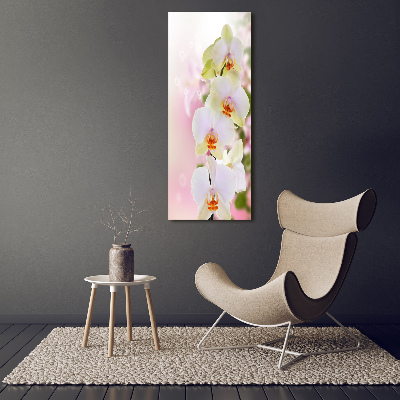 Verticaal schilderij op canvas Witte orchidee