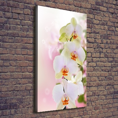 Verticaal schilderij op canvas Witte orchidee