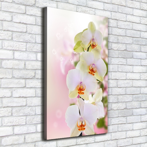 Verticaal schilderij op canvas Witte orchidee