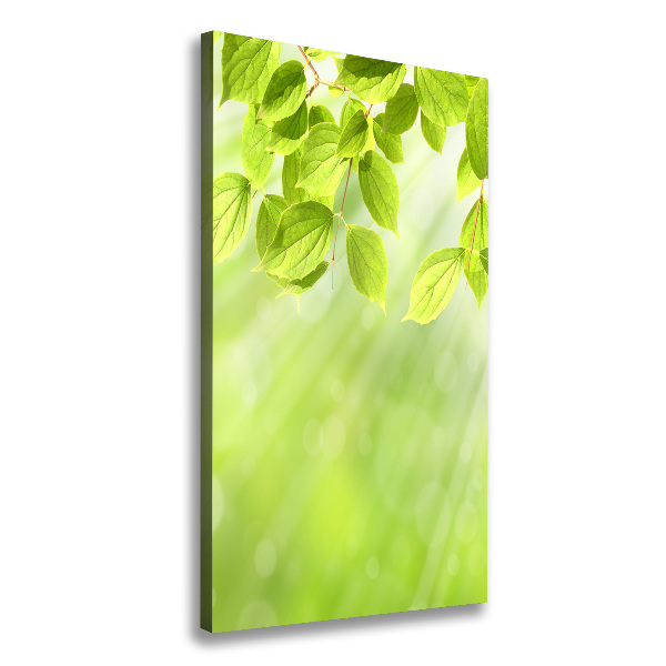 Verticale foto op canvas Groene bladeren