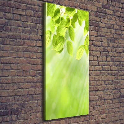 Verticale foto op canvas Groene bladeren