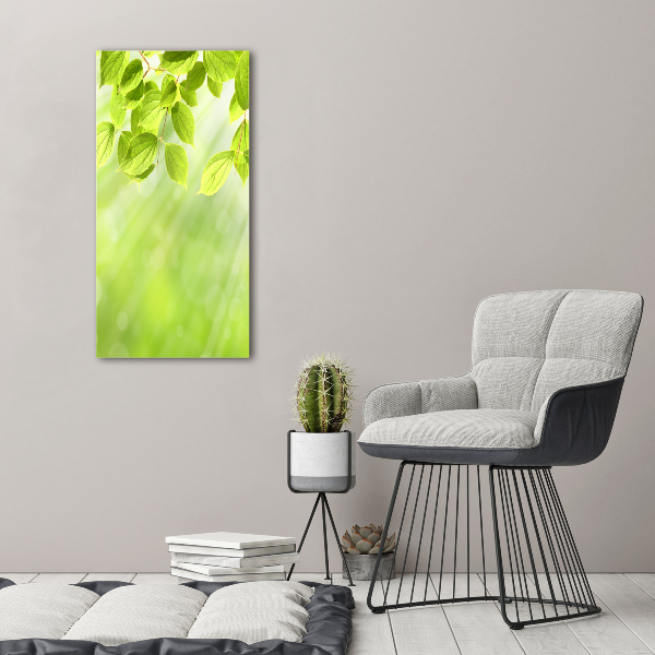 Verticale foto op canvas Groene bladeren