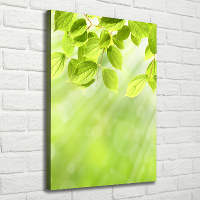 Verticale foto op canvas Groene bladeren