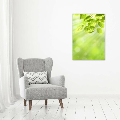 Verticale foto op canvas Groene bladeren