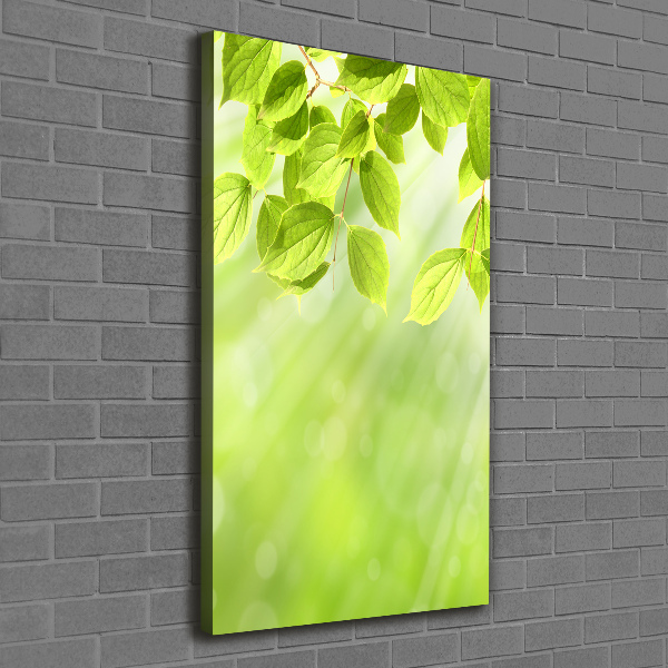 Verticale foto op canvas Groene bladeren