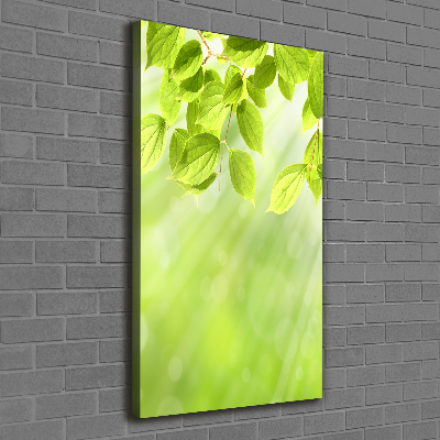 Verticale foto op canvas Groene bladeren